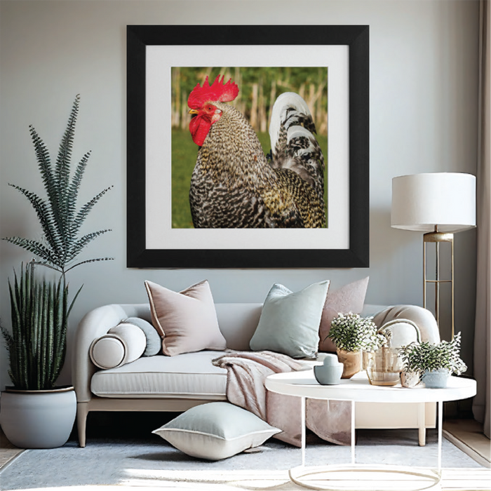 Henri The Hen 18x18 Framed Print