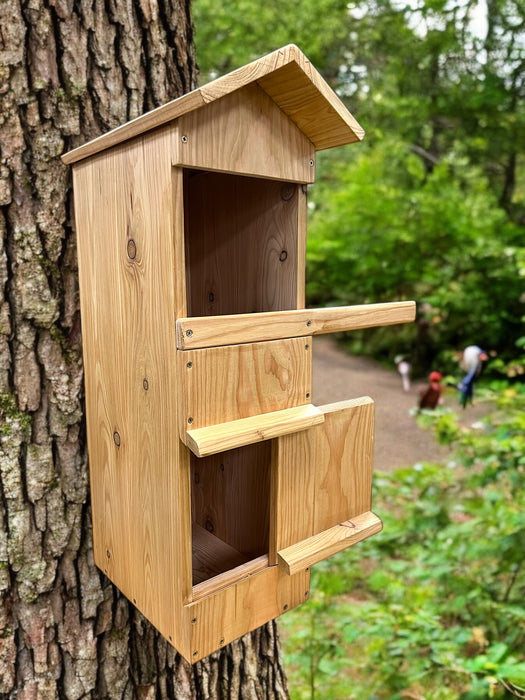 Tawny Owl Box