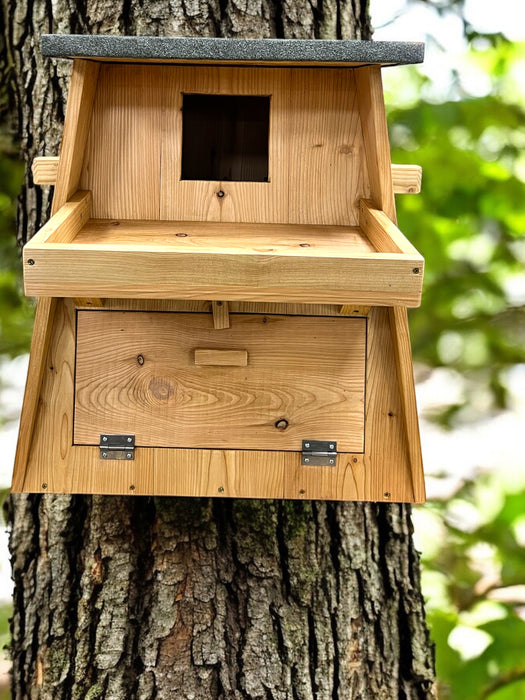 Barn Owl Box