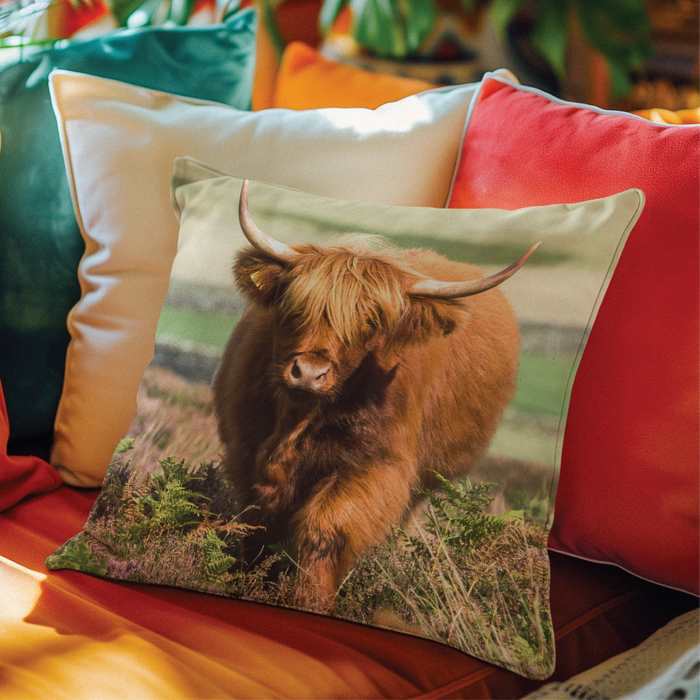 Hamish The Highland Cow Cushion