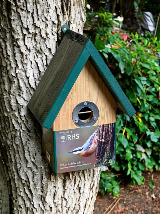 RHS Allium Nest Box