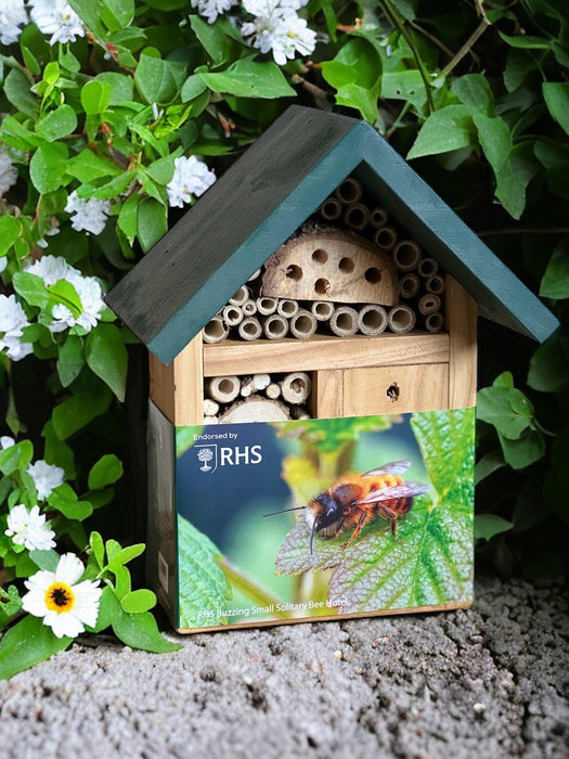 RHS Buzzing Small Solitary Bee Hotel