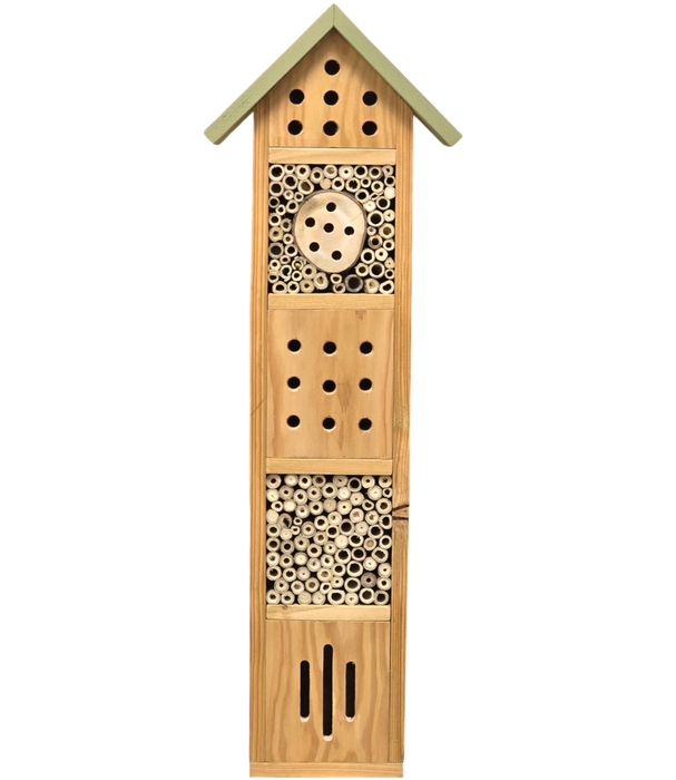 Sting Education Bug and insect Hotel