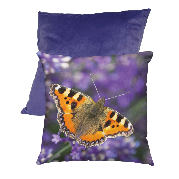 Jane Stanley's Tortoiseshell Butterly Cushion