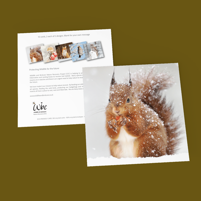 Christmas Wildlife Pack of 10 Cards