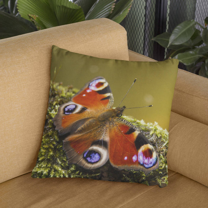 Peacock Butterfly Cushion