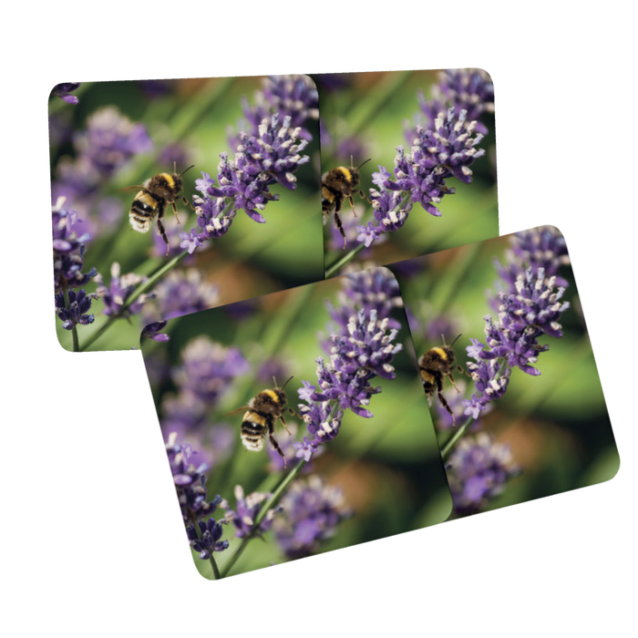 Jane Stanley's Bumble on Lavender Placemats