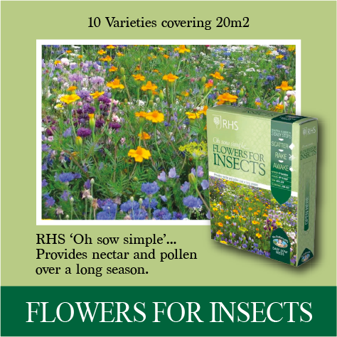 RHS Shake and sow Flowers for Insects — wildlifeandbirdcare