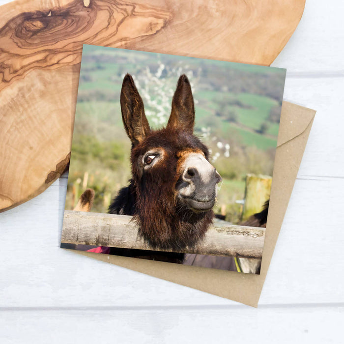 Donkey Greeting Card