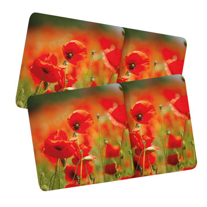 Jane Stanley's Tortoiseshell Butterly Coasters