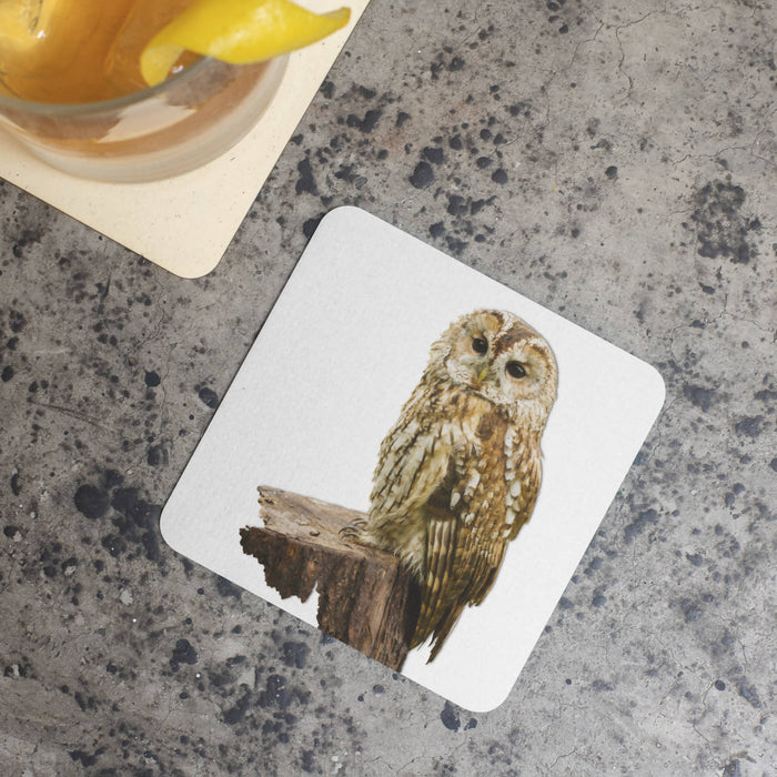 Tawny Owl Coaster