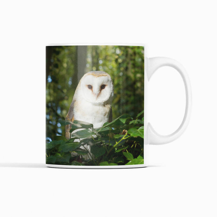 Barn Owl Mug